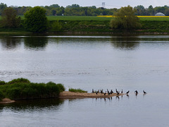 Via Turonensis - Loire