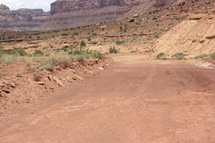 IMG 7476