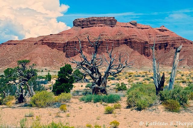 Devils Canyon Utah 2011