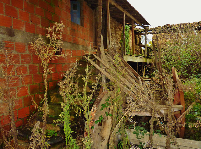 Carro de bois