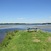 A perfect spot for a summer picnic