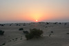 U.A.E., Dubai, The Sunset over the Arabian Desert