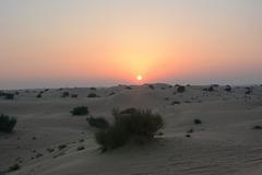 U.A.E., Dubai, The Sunset over the Arabian Desert