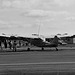 badjun32023 (1285)