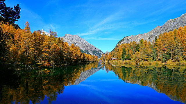 Herbststimmung am Palpuognasee (Albulapass)