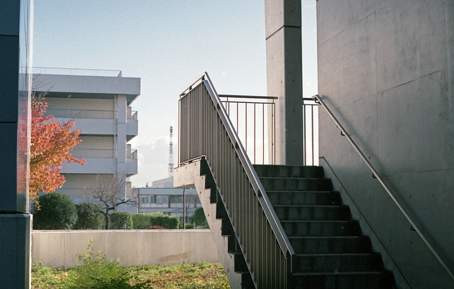 Institution in autumn