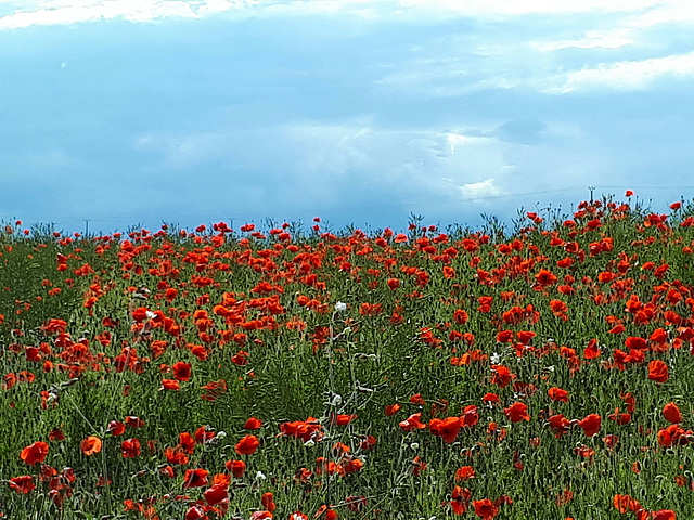 En rouge et bleu