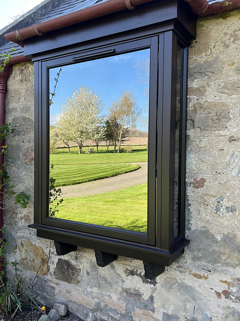 Garden reflections: Cherry tree in blossom