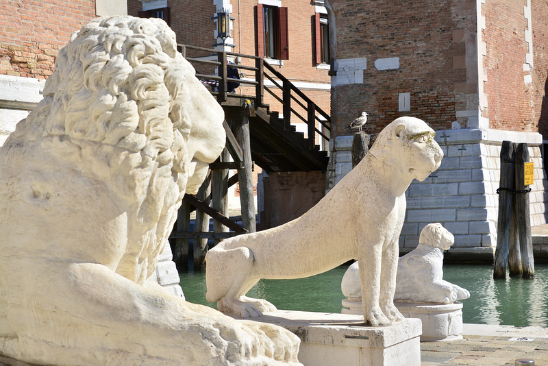 Venice 2022 – Arsenale – Lions