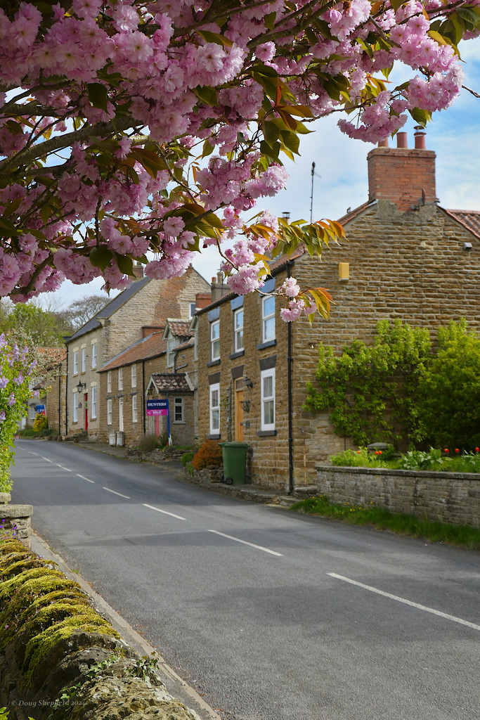 Spring on Castlegate - East Ayton (1 x PiP)