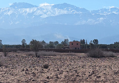 Les sommets enneigés du Haut-Atlas bien en vue