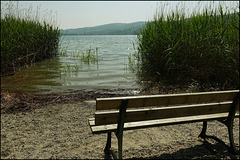 Bodenseebeobachtungsbank Bodenseebeobachtungsbank