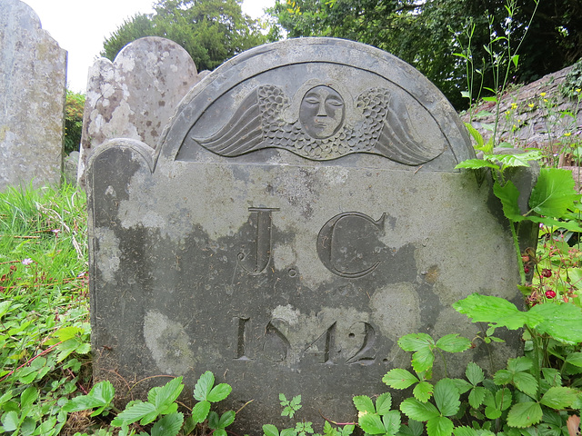 buckland monachorum church, devon