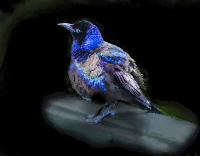 Bluebird Painting