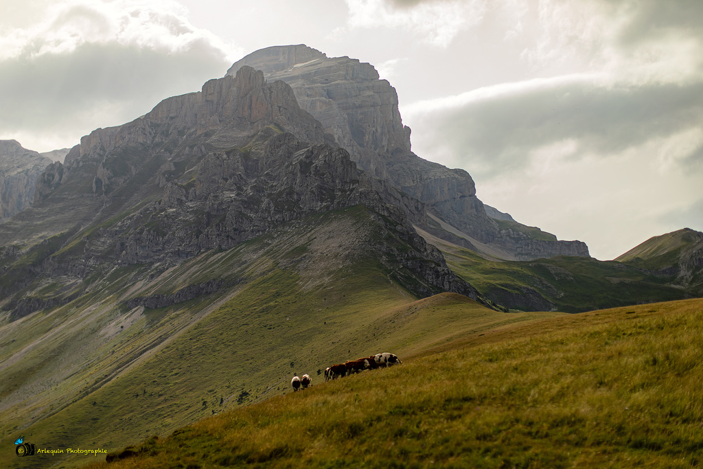 Grande Tête de l'Obiou - Col des Faïsses