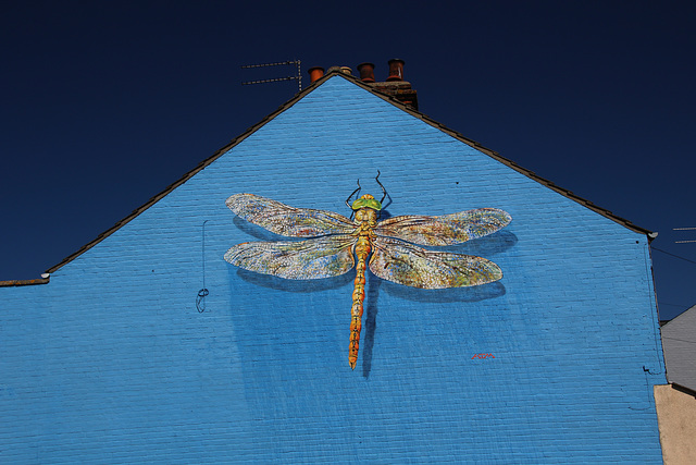 Dragonfly mural, Lowestoft