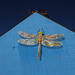 Dragonfly mural, Lowestoft