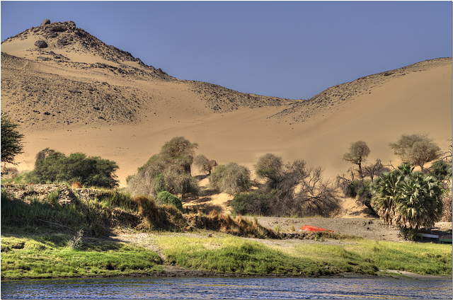 Bank of the Nile