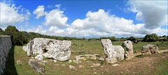 Pasturage and Prehistoric Stones