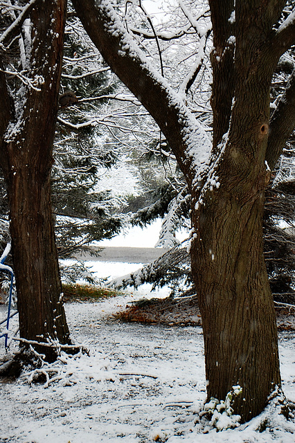 First snow of the season