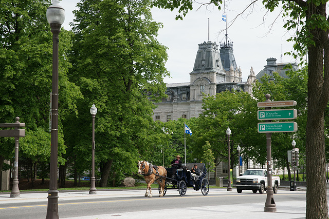 Caleche In Quebec