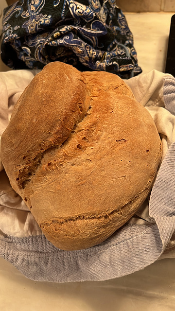 Pão alentejano cozido em forno de lenha artisanal