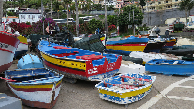 Câmara De Lobos