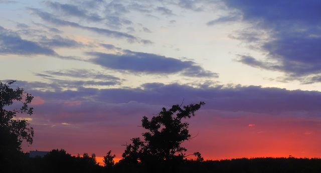 Evening Red