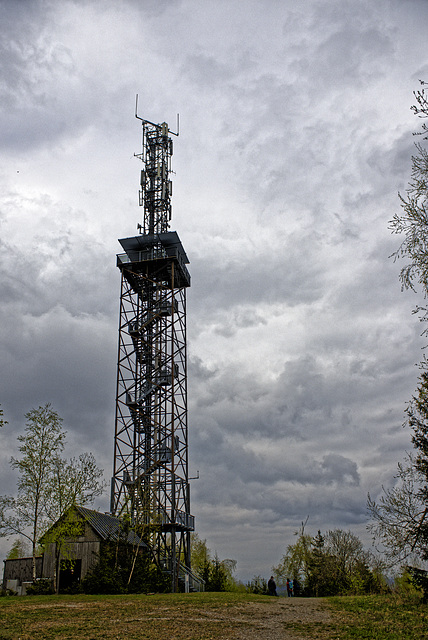 20250413+18+19_Benneckenstein Umfeld Moserteich,Carlshausturm