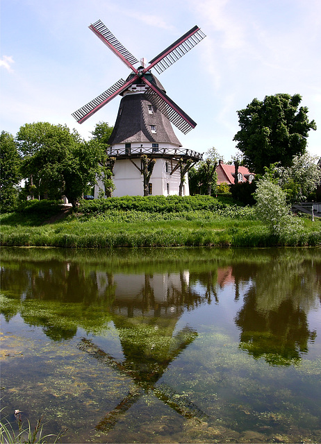 Johanna mit Spiegelbild