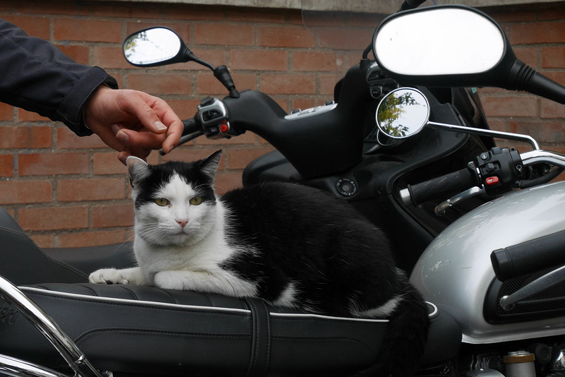 tant qu'il reste de la moto pour se réchauffer ...