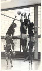 Volleyball  NLB  (1977)