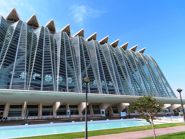 Valencia: Museo de las Ciencias Príncipe Felipe, 3