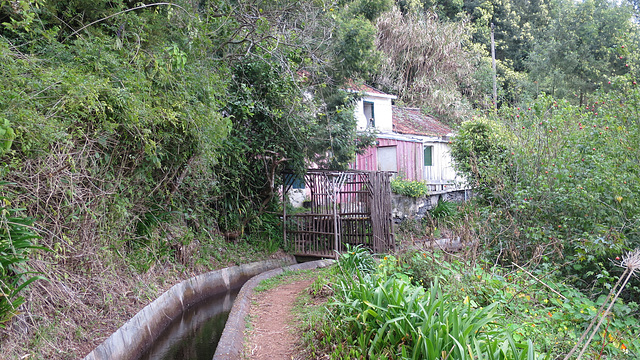 Levada dos Tornos