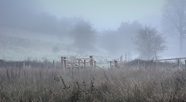 Days of frosty mist.