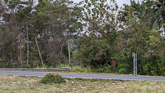 Singes sur fils électriques / Walking monkeys on wires