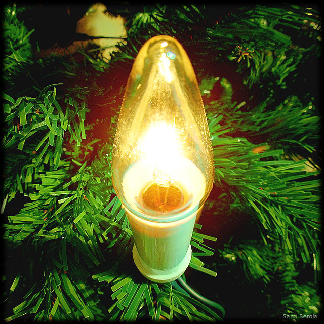 Bulb 2