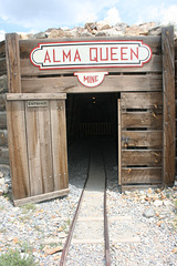 IMG 4881