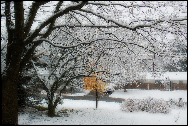 First snow