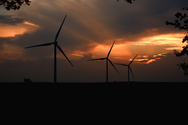 Windfarm at sunset