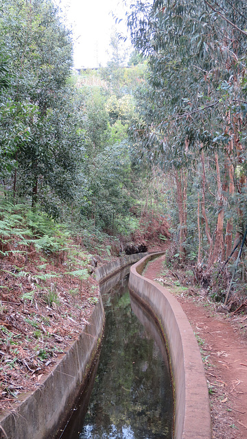 Levada dos Tornos