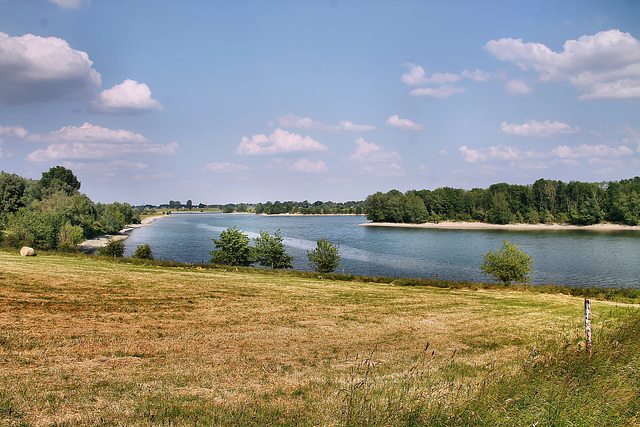 Blick zum Rhein (Rheinberg) / 8.06.2023