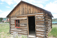IMG 4884