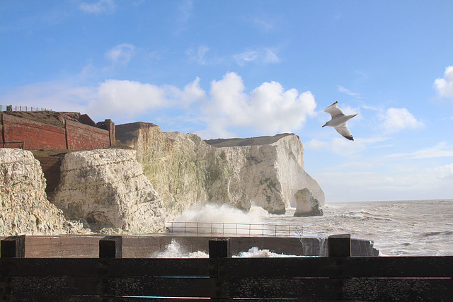 Seaford Head - 9.3.2016