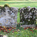 shilton church, oxon (1) angel shaped tombstones of the early c18