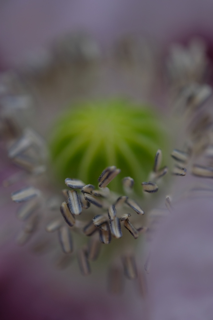 DSCF1238