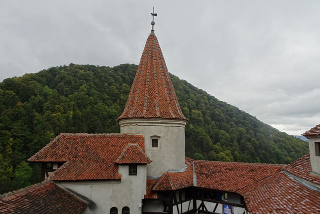 Rooftops Of Bran Castle