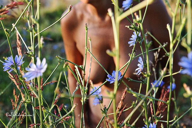 body life outdoor early morning 2