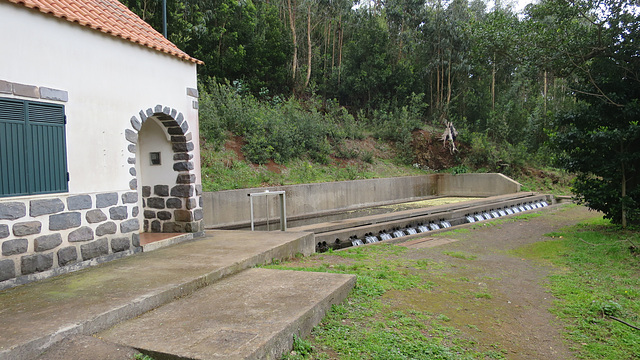 Levada dos Tornos