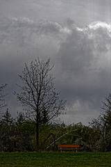 20250413+18+19_Benneckenstein Umfeld Moserteich,Carlshausturm